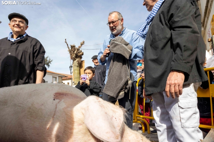 Matanza San Leonardo./ Viksar Fotografía