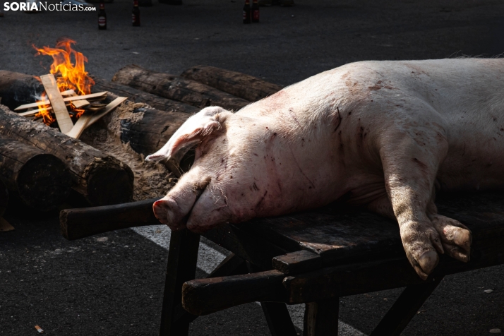 Matanza San Leonardo./ Viksar Fotografía