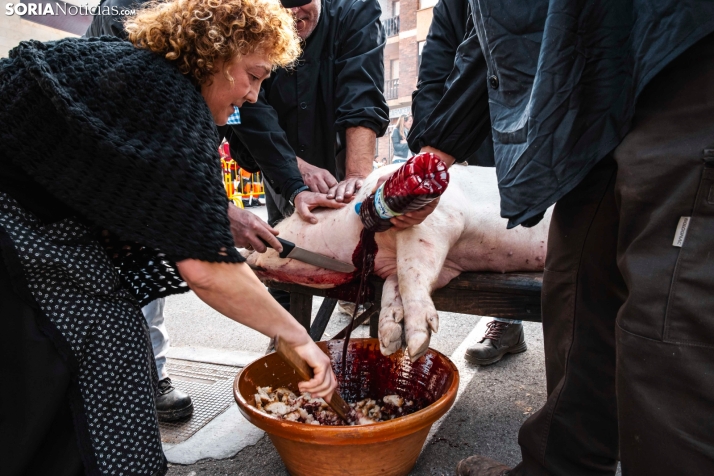 Matanza San Leonardo./ Viksar Fotografía