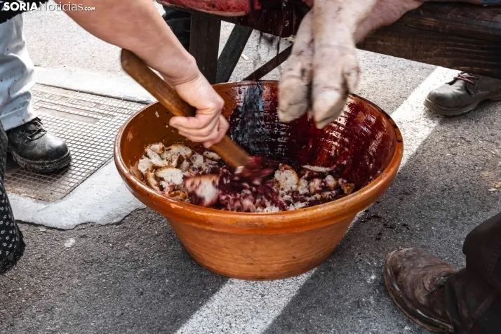 Matanza San Leonardo./ Viksar Fotografía