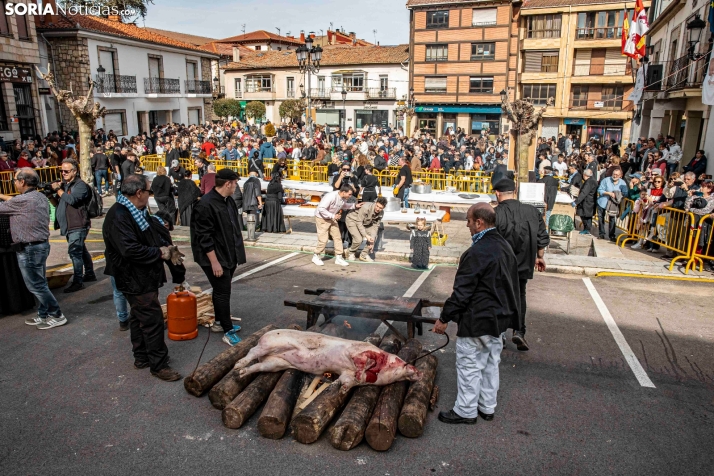 Matanza San Leonardo./ Viksar Fotografía