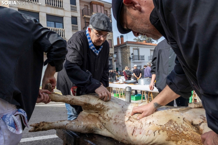 Matanza San Leonardo./ Viksar Fotografía