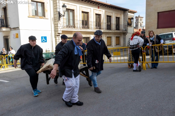 Matanza San Leonardo./ Viksar Fotografía