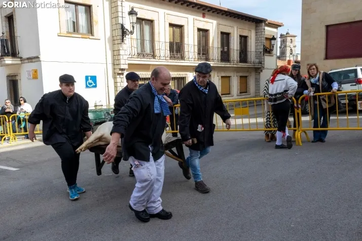 Matanza San Leonardo./ Viksar Fotografía