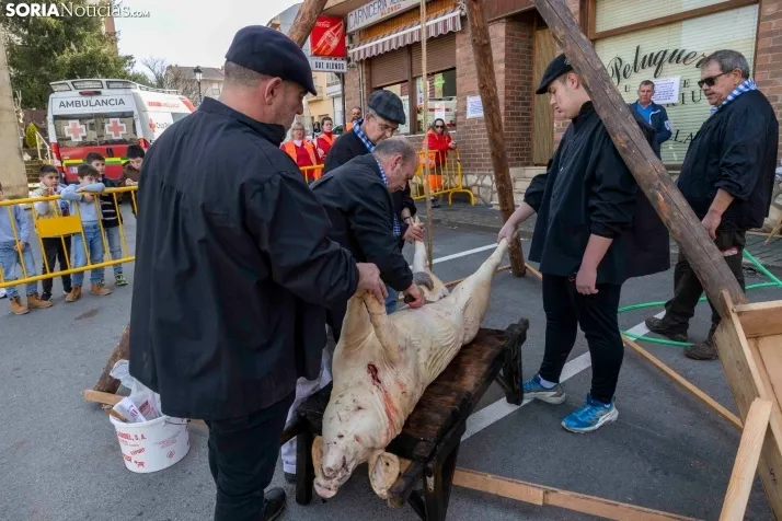 Matanza San Leonardo./ Viksar Fotografía