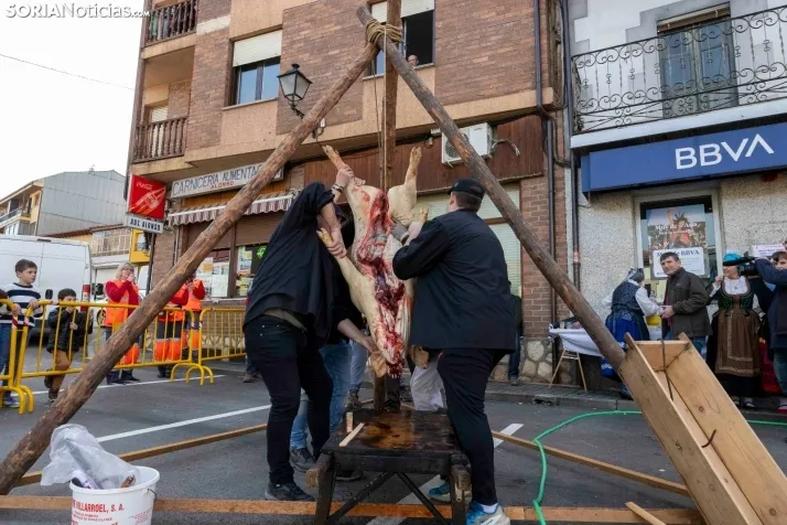 Matanza San Leonardo./ Viksar Fotografía