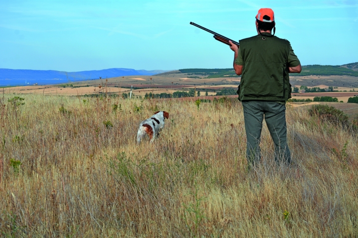 Desierta la licitación de caza en Torralba: El Burgo de Osma no recibe ofertas