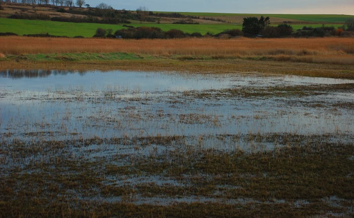 ASAJA exige al Gobierno equiparar las ayudas por las borrascas en Castilla y León a las del sur de España