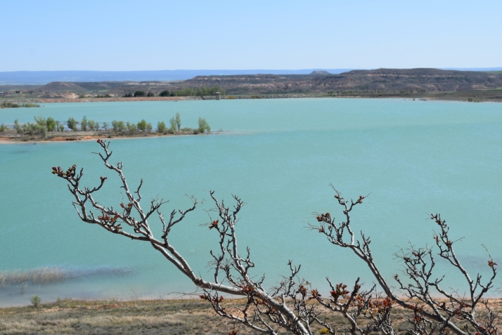 Las reservas de agua en Monteagudo superan en 2,5 hectómetros cúbicos las cifras de 2025