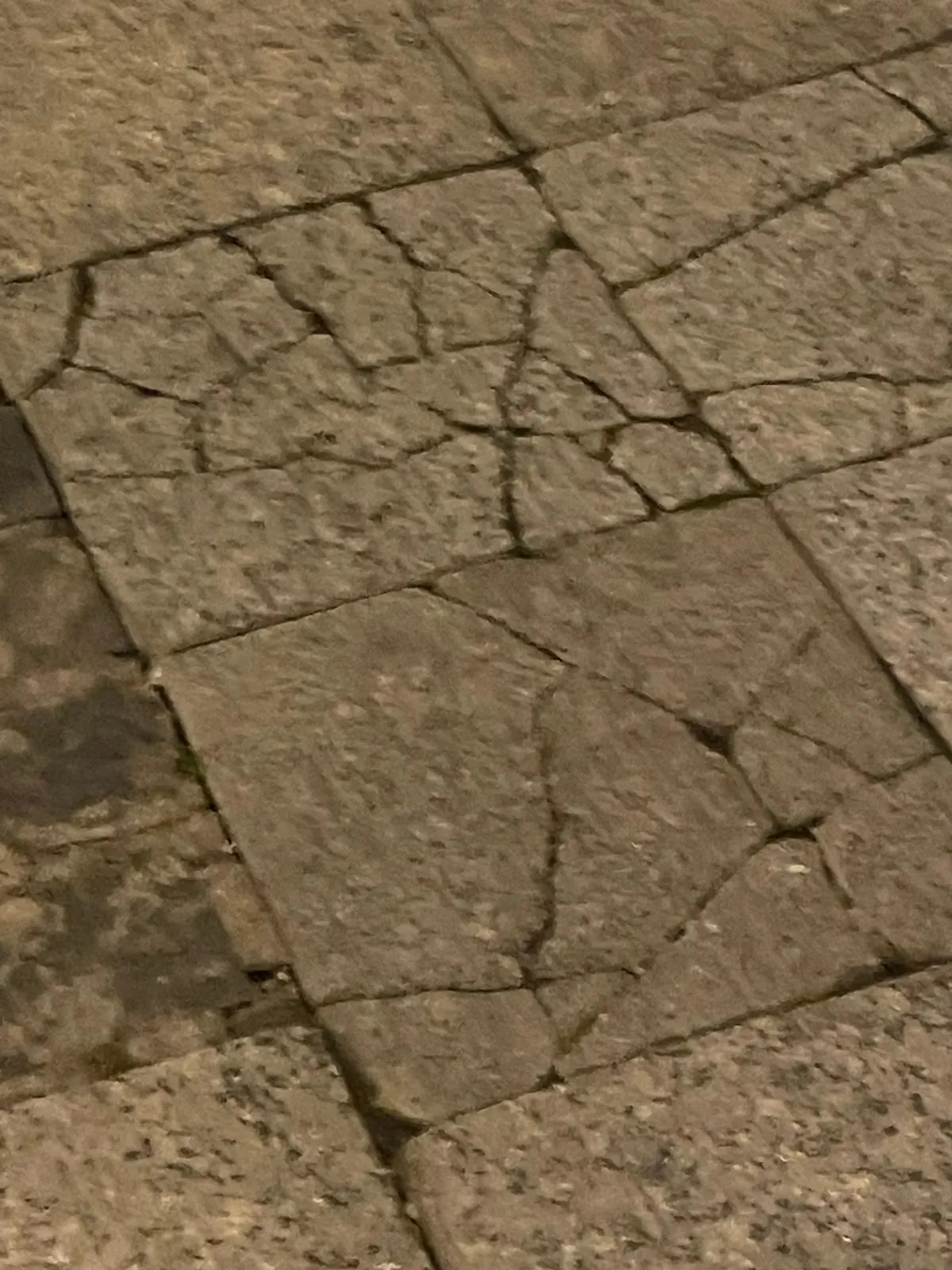 Estado de las calles Real y Zapatería en un paseo a primeras horas de la mañana. | SN