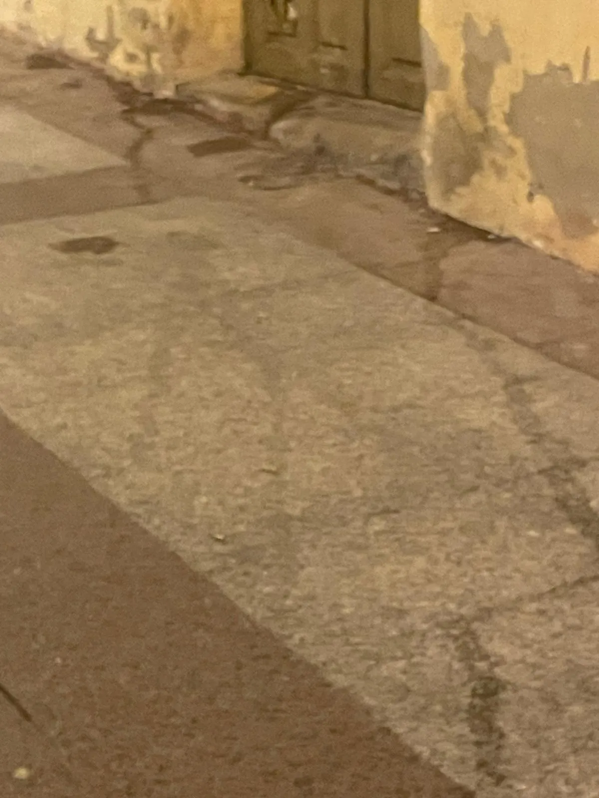 Estado de las calles Real y Zapatería en un paseo a primeras horas de la mañana. | SN