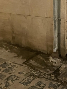 Estado de las calles Real y Zapatería en un paseo a primeras horas de la mañana. | SN