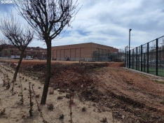 Foto 6 - El nuevo entorno del Fuente del Rey va tomando forma: Menos coches, m&aacute;s verde y canchas de tenis y p&aacute;del cubiertas