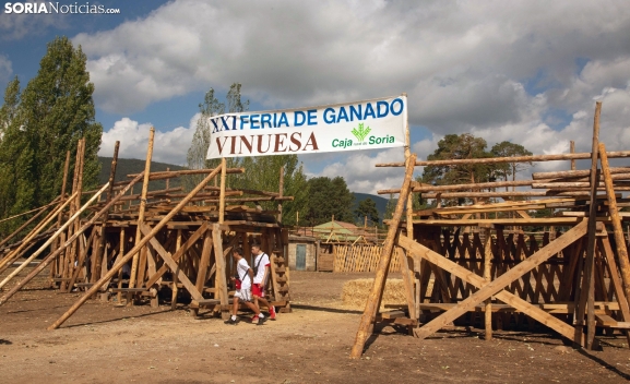 Ayudas Diputación Soria ferias agropecuarias 2026: Plazos y requisitos