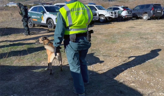Desapariciones en Castilla y León: De las 141 personas denunciadas ante la Guardia Civil durante 2025, 16 aparecieron sin vida 