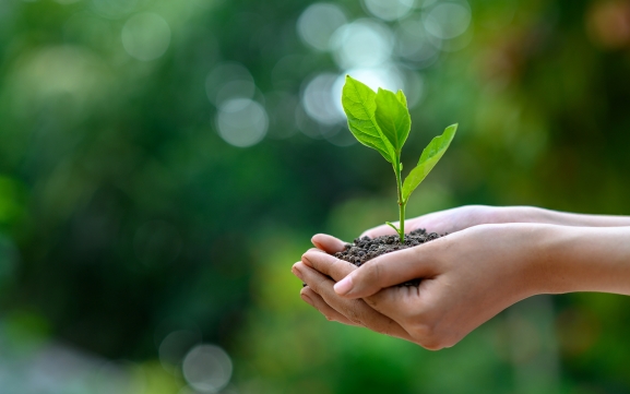 Soria acogerá la nueva aceleradora de Castilla y León especializada en bioeconomía y recursos naturales