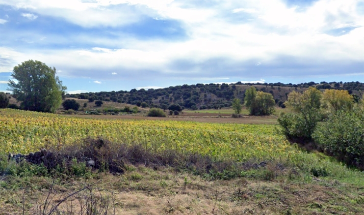 Medio Ambiente aprueba el plan dasocrático del monte de Golmayo