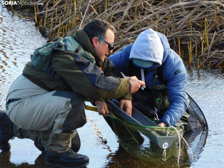 XXII Campano Soriano a orillas del río Duero
