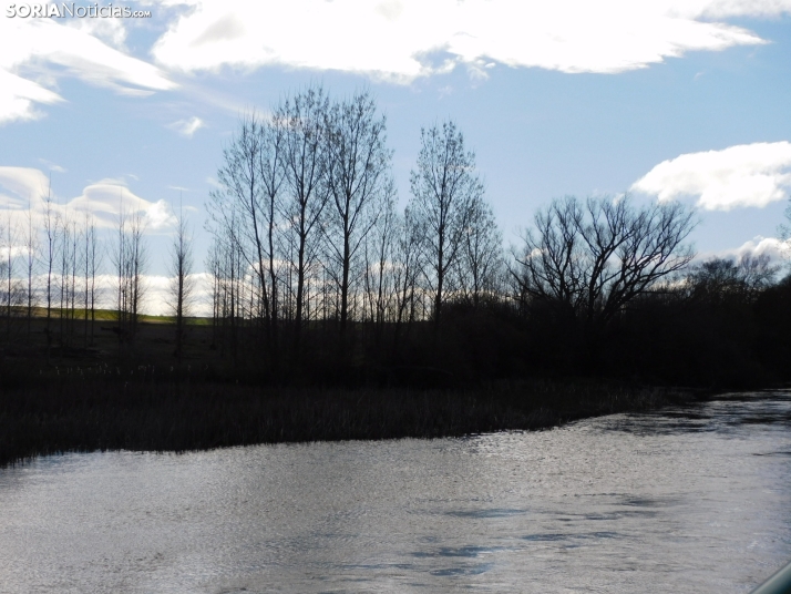 XXII Campano Soriano a orillas del río Duero
