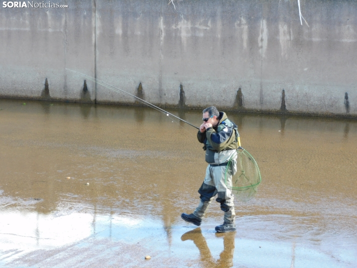 XXII Campano Soriano a orillas del río Duero