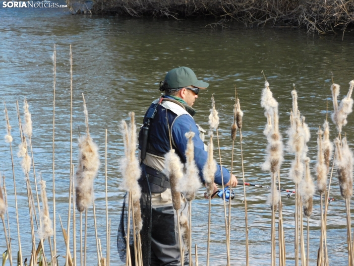 XXII Campano Soriano a orillas del río Duero
