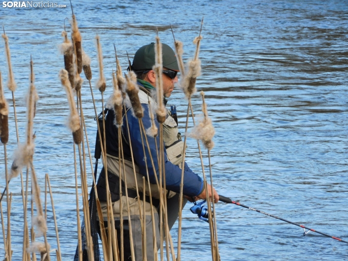 XXII Campano Soriano a orillas del río Duero