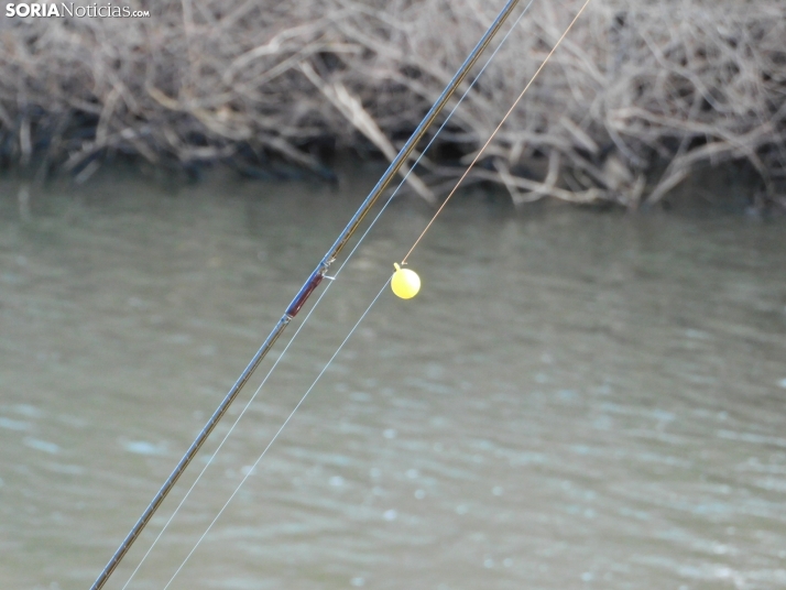 XXII Campano Soriano a orillas del río Duero
