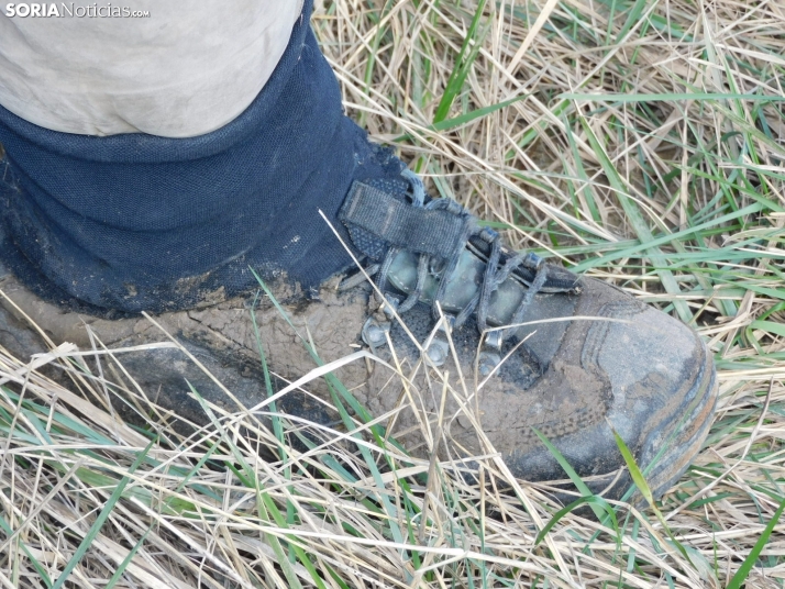 XXII Campano Soriano a orillas del río Duero