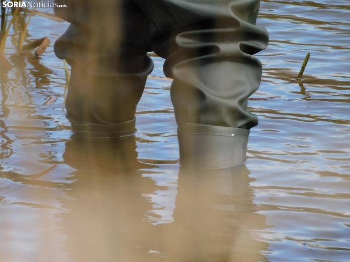 XXII Campano Soriano a orillas del río Duero