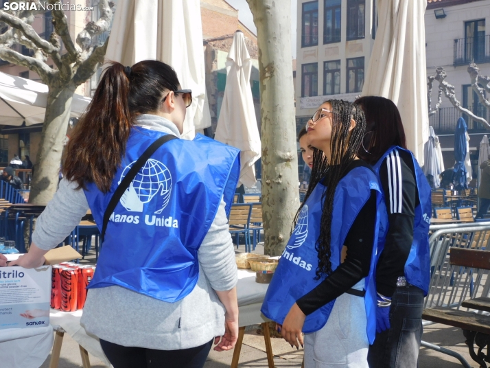 Operación Bocadillo de Manos Unidas en la Plaza Herradores