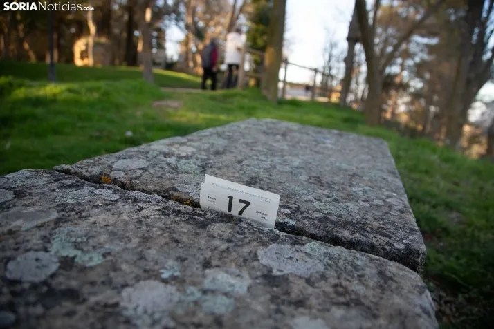 Galería Primavera