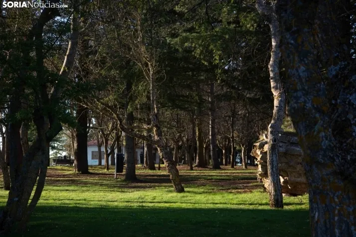 Galería Primavera
