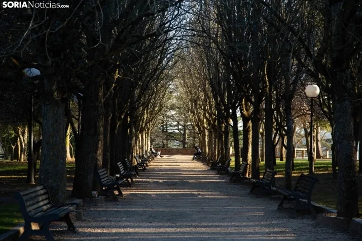 Galería Primavera