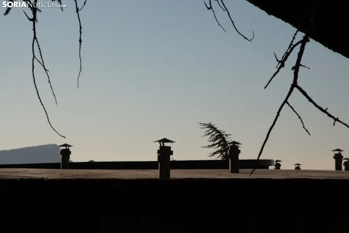 Galería Primavera