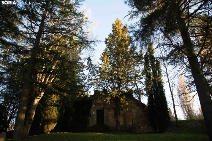 Galería Primavera
