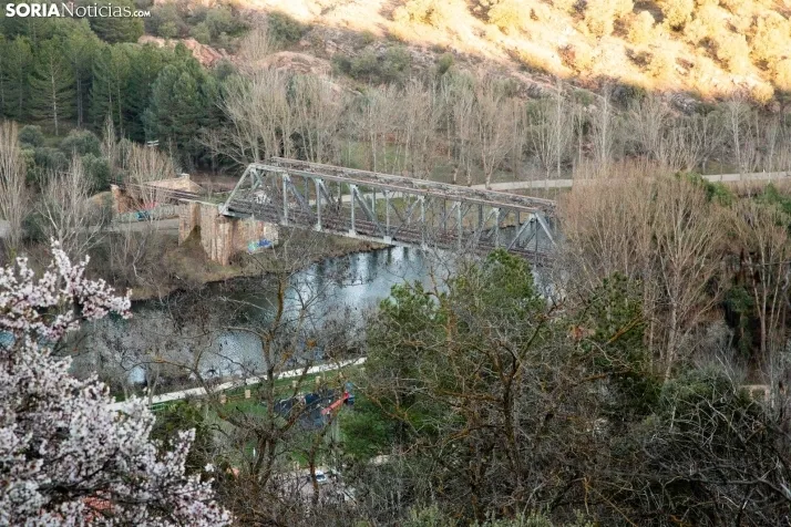 Galería Primavera