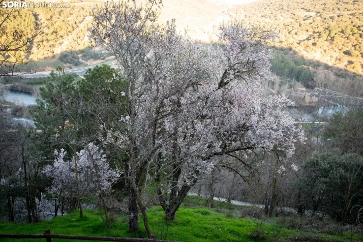 Galería Primavera