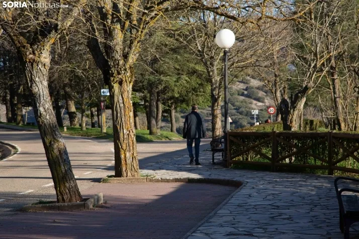 Galería Primavera
