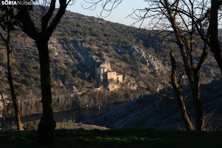 Galería Primavera