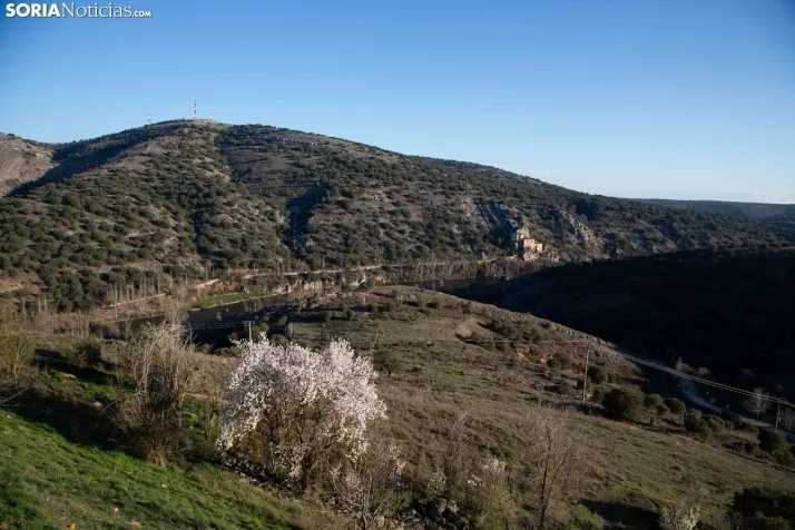 Galería Primavera