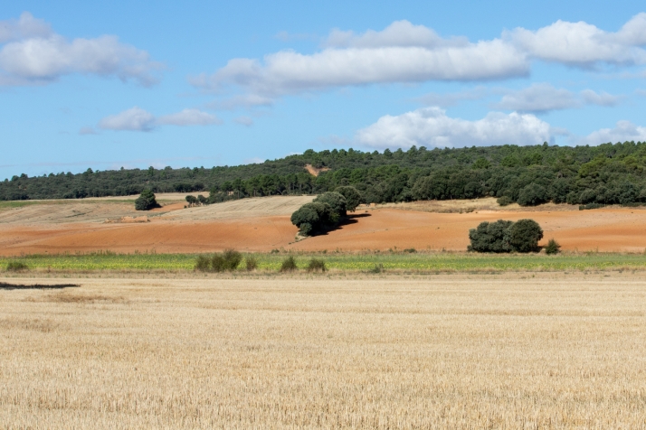 Sol en una jornada con descenso térmico