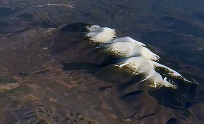 Así se ve ahora el Moncayo desde el aire