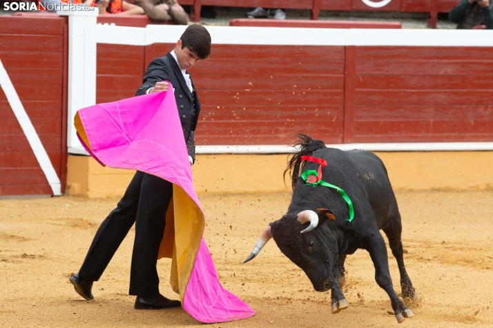 Turismo destina 295.000 euros a la organización del próximo Circuito de Novilladas de Castilla y León