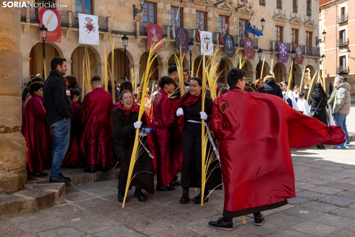 Domingo de Ramos 2026./ Viksar Fotografía