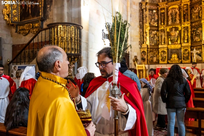 Domingo de Ramos 2026./ Viksar Fotografía