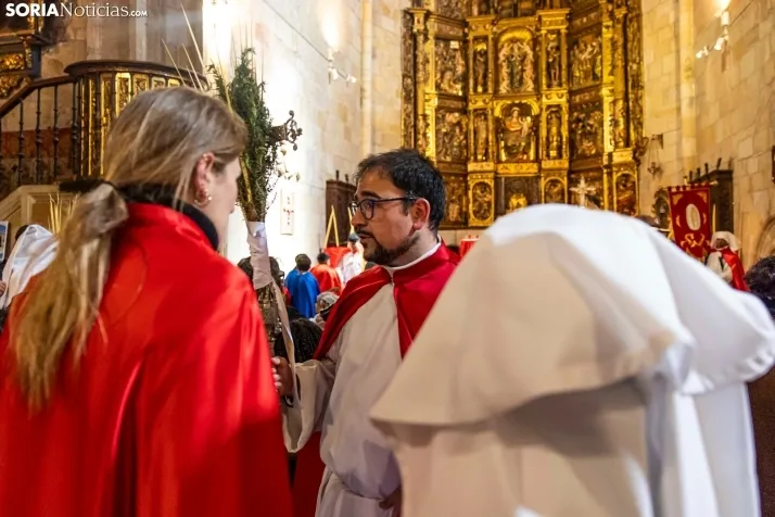 Domingo de Ramos 2026./ Viksar Fotografía