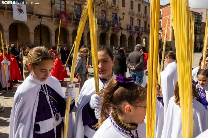 Domingo de Ramos 2026./ Viksar Fotografía