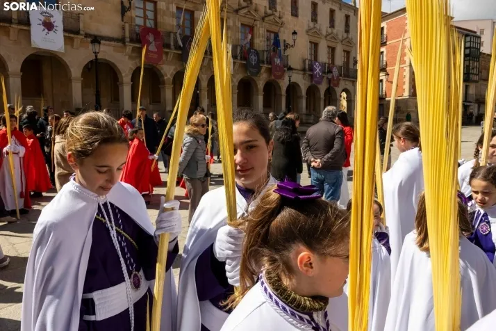 Domingo de Ramos 2026./ Viksar Fotografía