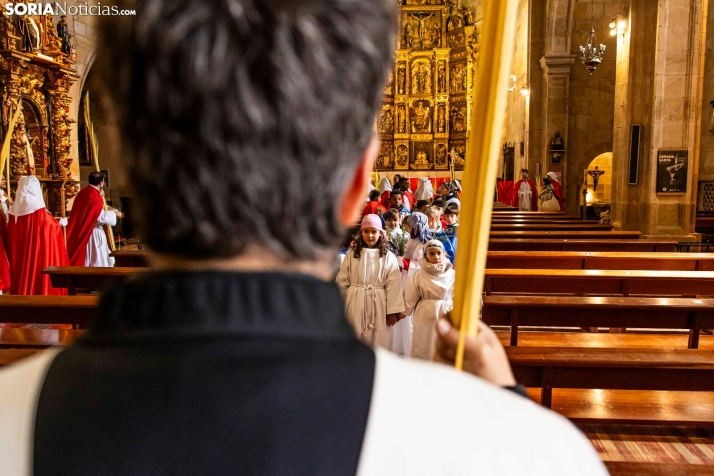 Domingo de Ramos 2026./ Viksar Fotografía
