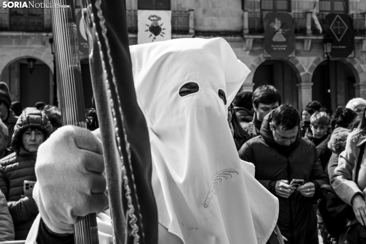 Domingo de Ramos 2026./ Viksar Fotografía